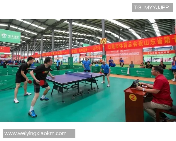 乒乓球深度探索西安乒乓球队的转型与发展之路