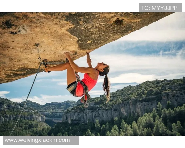 杭州攀岩队力压群雄荣登全国攀岩力量排行榜第二名
