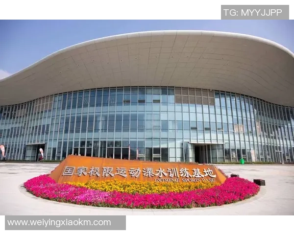 南京极限运动队现状分析与发展前景探讨