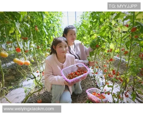 果园采摘乐：亲手摘果品味自然，感受丰收的喜悦与幸福