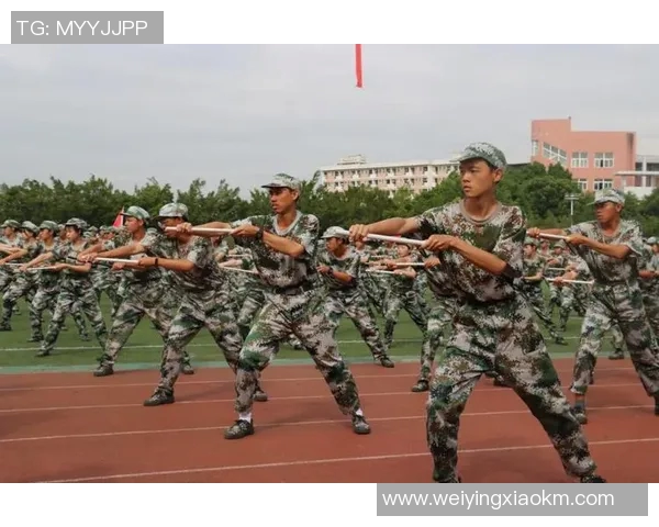 广州乒乓球队阵地战体系解析及其战术运用研究